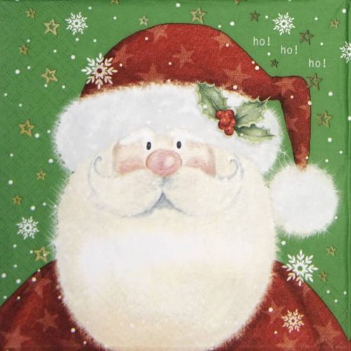 Lunch Napkins (20) - Saint Nick green