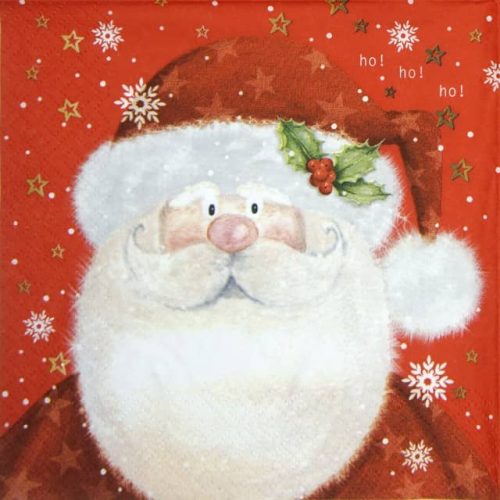 Lunch Napkins (20) - Saint Nick red
