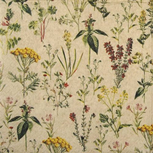 Lunch Napkins (20) - Herbal Meadow