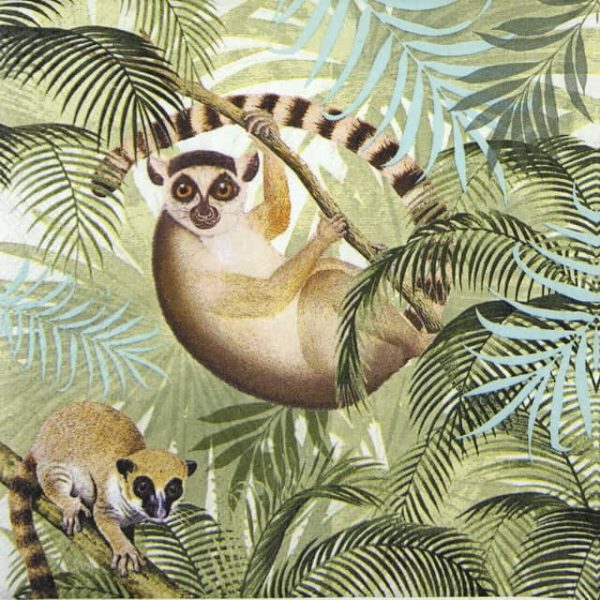 Paper Napkin - Lemurs