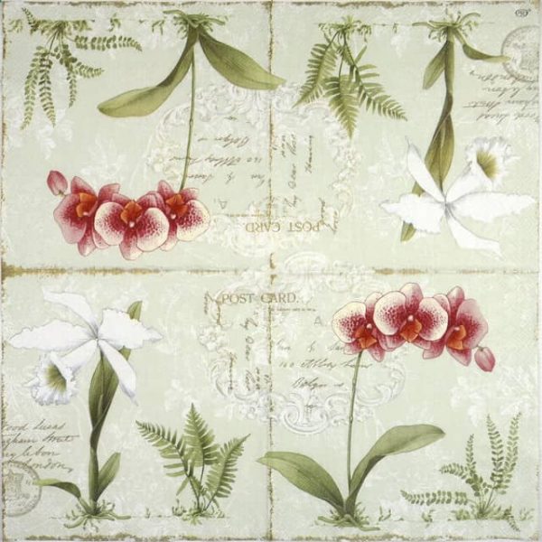 Lunch Napkins (20) -  L'Orchidée Light green