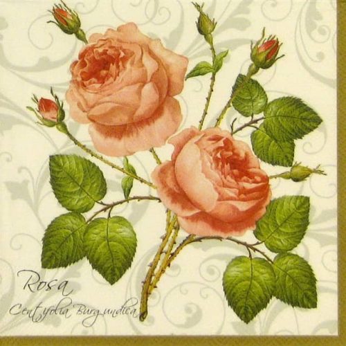 Lunch Napkins (20) - Rosa Centifolia white