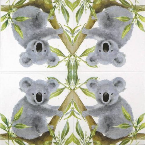 PPD_Koala-bear_1332708