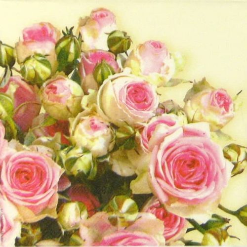 Paper Napkin - Roses Maxima Cream