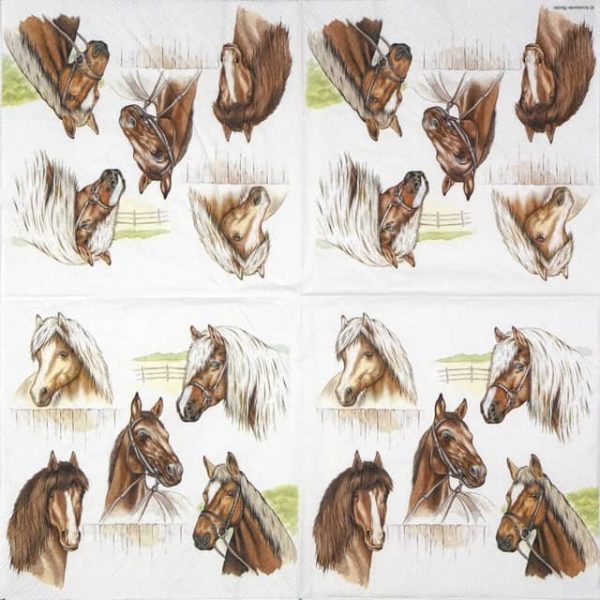 Lunch Napkins (20) - Horse Range - Image 2