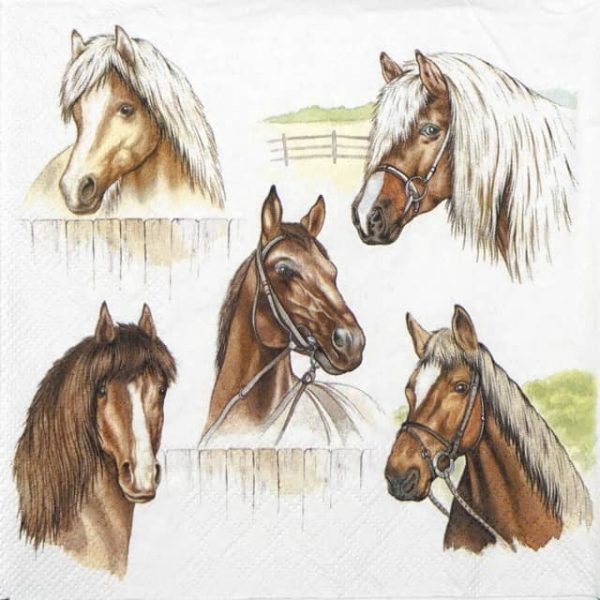 Paper Napkin - Horse Range