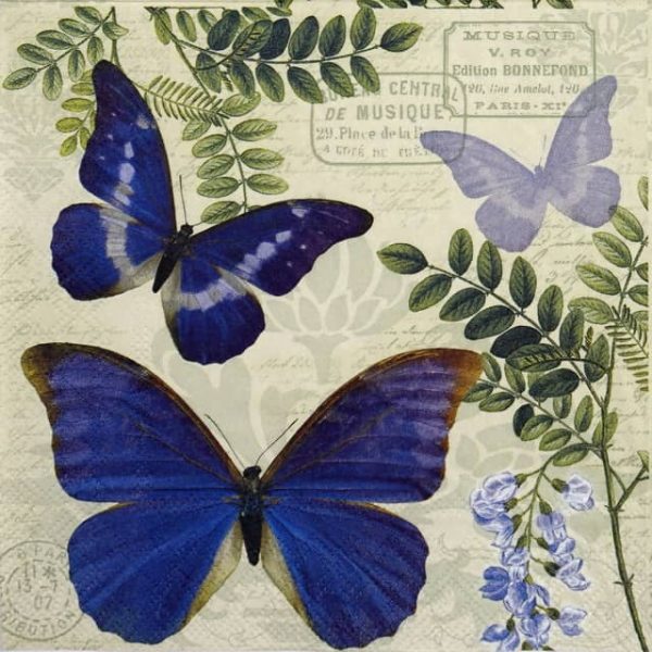 Lunch Napkins (20) - Blue Morpho