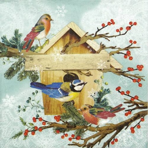 Paper Napkin - X-mas Bird House