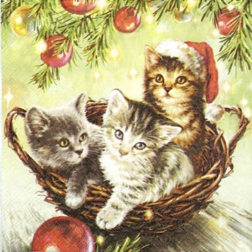 Lunch Napkins (20) - Cats in Basket