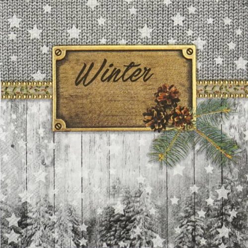 Paper Napkin - Winter symbols