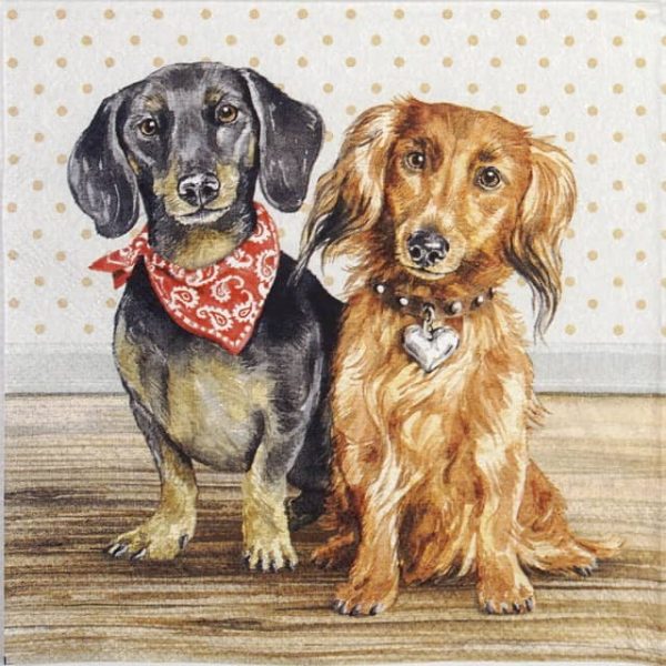 Paper Napkin - Dachshund