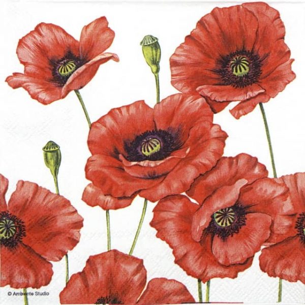 Lunch Napkins (20) - Romantic Poppy