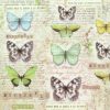 Rice Paper - Vintage Butterfies DFSA4178 Stamperia