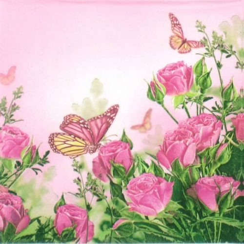 Lunch Napkins (20) - Roses Butterflies