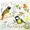 Paper Napkin - Les Oiseaux