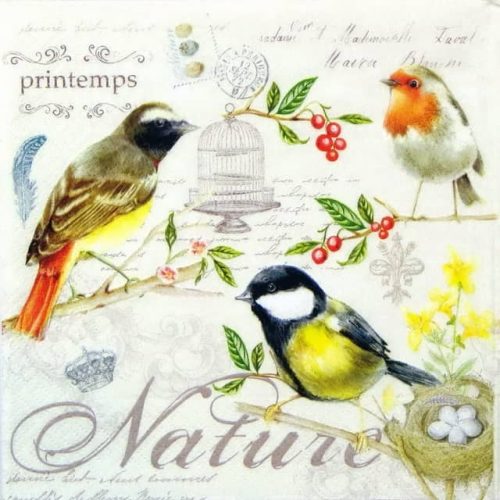 Paper Napkin - Les Oiseaux