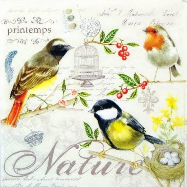 Lunch Napkins (20) - Les Oiseaux