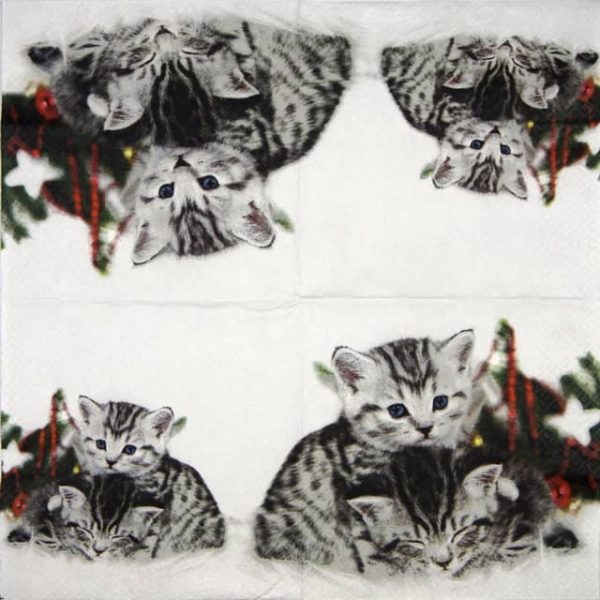 Paper Napkin - Christmas Cats