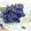 Paper Napkin - Lavender Greeting