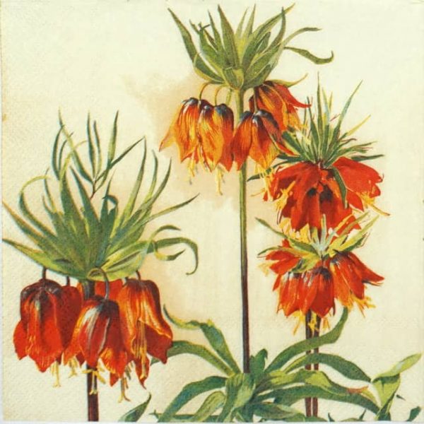 Lunch Napkins (20) - Fritillaria