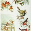 Rice Paper - Vintage Winter Birds