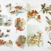 Rice Paper - Vintage Bird Family - R1021_ITD