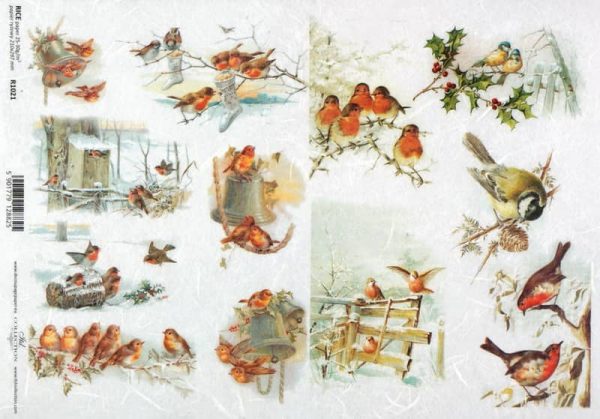 Rice Paper - Vintage Bird Family - R1021_ITD