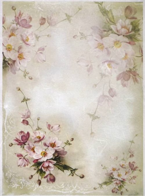 Rice Paper - Pink Blossoms -