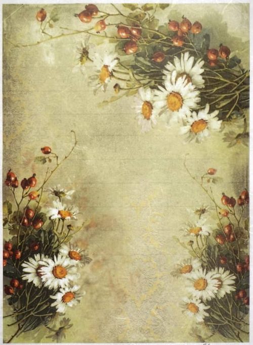 Rice Paper - Daisies & Rose Hips Wallpaper