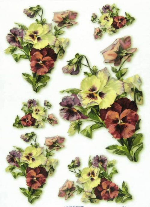 Rice Paper - Pansy