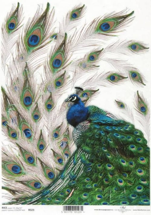 Rice Paper - Vintage Peacock