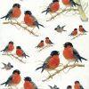 Rice Paper - Robin