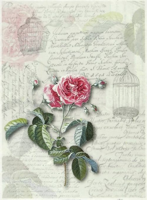 Rice Paper - Rose with Birdcages