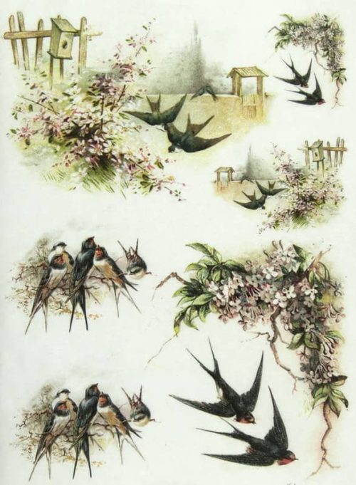 Rice Paper - Swallow Family-