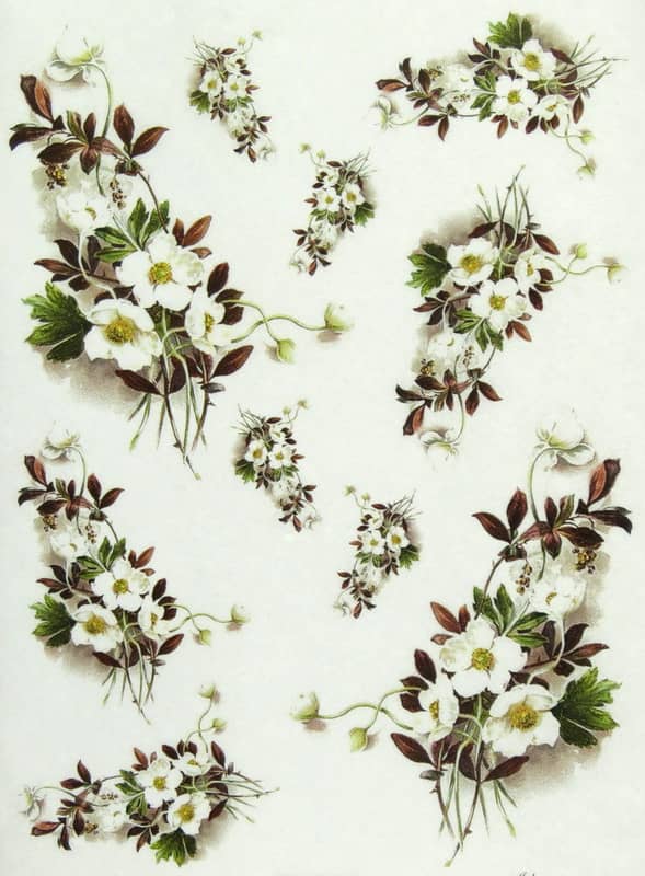 Rice Paper - Strawberry Flowers