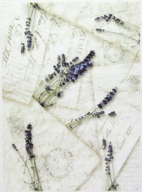 Rice Paper - Lavender's Letters