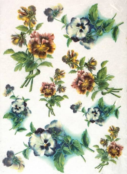 Rice Paper - Colorful Pansy