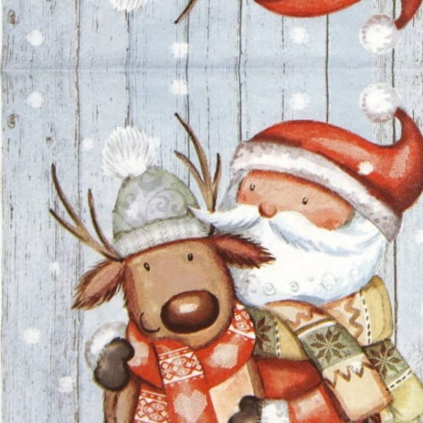 Lunch Napkins (20) - Santa & Reindeer