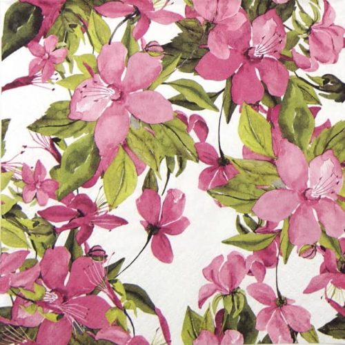 Lunch Napkins (20) - Flowering Clematis Pink