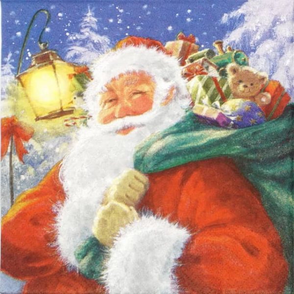 Lunch Napkins (20) - Santa Present