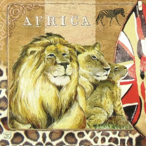 Paper Napkin - Africa