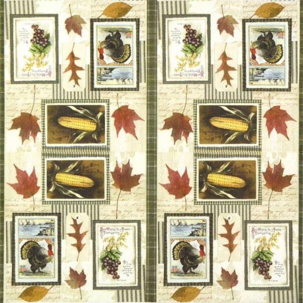 Lunch Napkins (20) - Thanksgiving