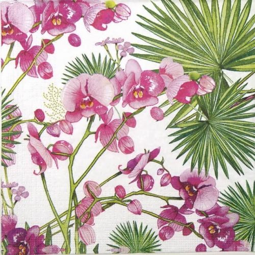 Paper Napkin - Orchids & Palms