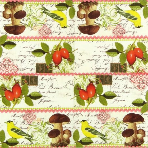 Lunch Napkins (20) - Botanical Postcard