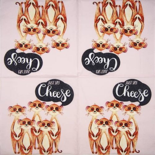 Paper-design_Say-cheese_195225