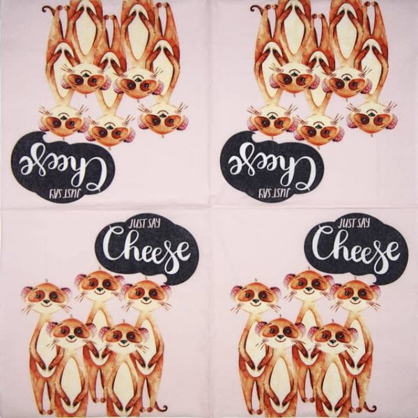 Lunch Napkins (20) - Say Cheese