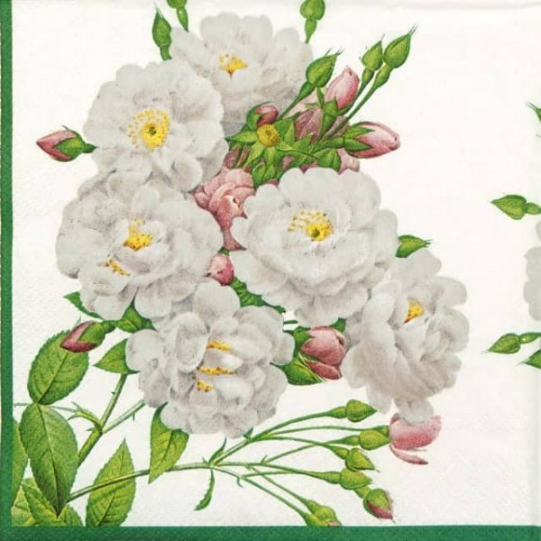 Lunch Napkins (20) - Rosa Noisettiana