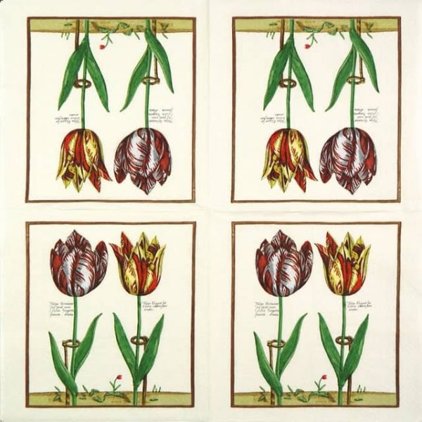 Lunch Napkins (20) - Elegance Tulip