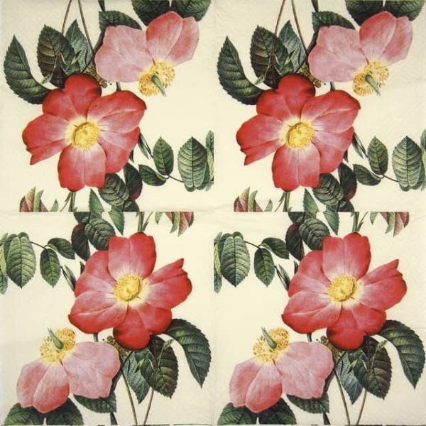 Lunch Napkins (20) - Roses