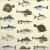 Paper Napkin - Fishes